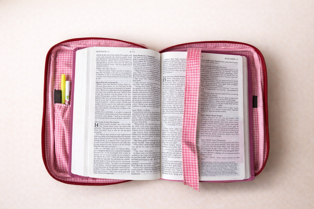 Bible Case | Bible Carrying Case | Christian Bible Protector