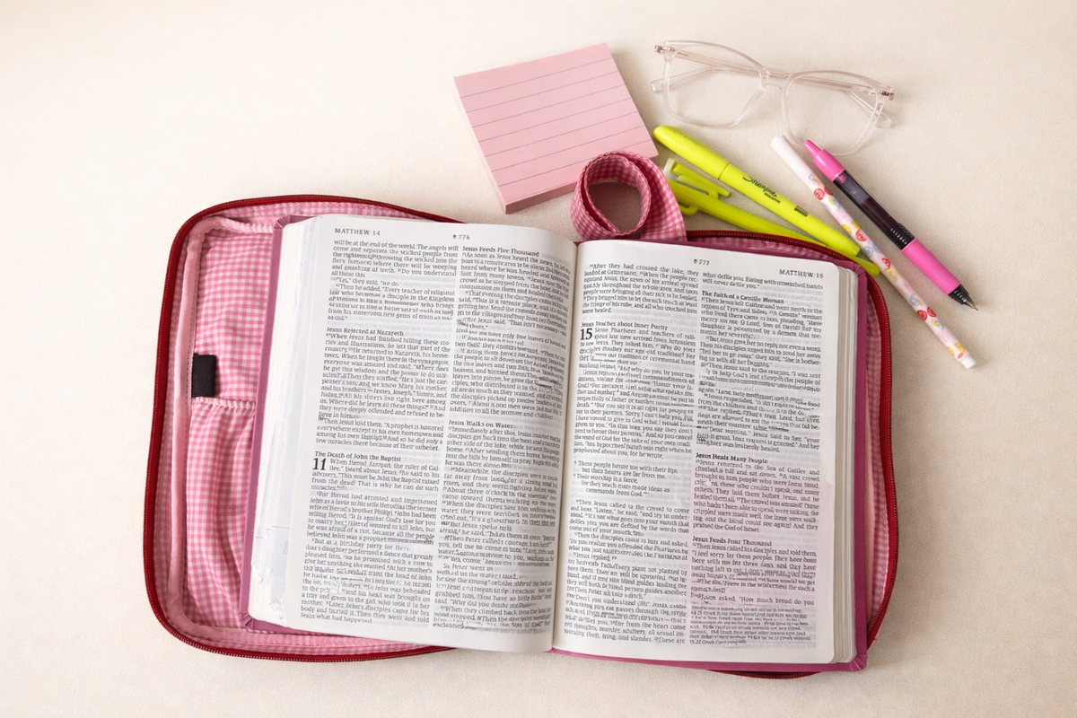 Bible Case | Bible Carrying Case | Christian Bible Protector